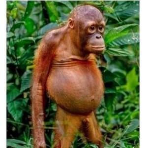 Meet your Posher, Jim